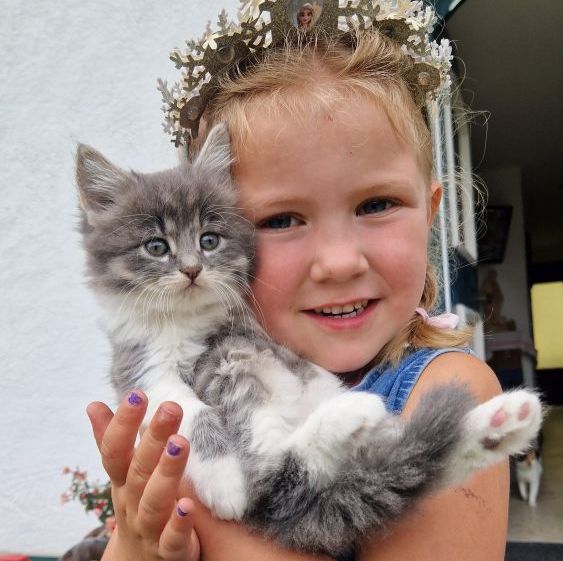 Kleinkind in Blumenwiese